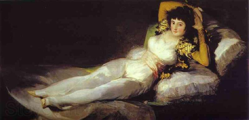 Francisco Jose de Goya The Clothed Maja Norge oil painting art